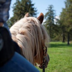 Отель Reiterhof Edelweiss Терлано помещение для мероприятий