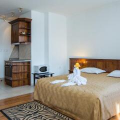 Elegant Lodge Hotel комната для гостей фото 6