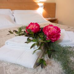 Отель Alla Fonte Кьюзафорте в номере