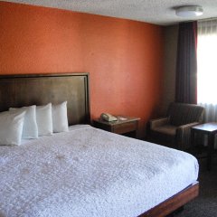 Village Inn Springfield in Springfield, United States of America from 119$, photos, reviews - zenhotels.com guestroom photo 4