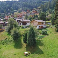 Отель Bisse-Vieux Нендаз фото 2