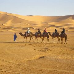 Отель Riad De Rêve Марокко, Загора - отзывы, цены и фото номеров - забронировать отель Riad De Rêve онлайн пляж фото 2