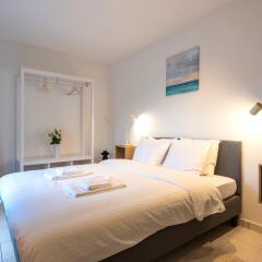Отель Duplex 3-bedrooms Laeken Brussels Expo Бельгия, Брюссель - отзывы, цены и фото номеров - забронировать отель Duplex 3-bedrooms Laeken Brussels Expo онлайн фото 5