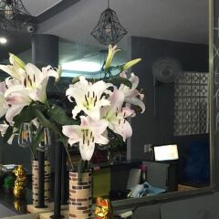 GoCo Hostel гостиничный бар