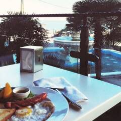 Гостиница Dolphin Resort Hotel & Conference в Сочи - забронировать гостиницу Dolphin Resort Hotel & Conference, цены и фото номеров питание