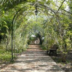 Отель Agroturismo Es Palmer