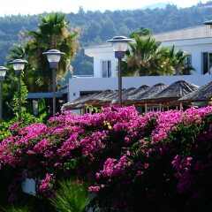 Kairaba Blue Dreams Resort Турция, Голькой - отзывы, цены и фото номеров - забронировать отель Kairaba Blue Dreams Resort онлайн фото 11