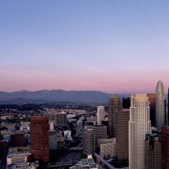 Отель Ritz Carlton Los Angeles Лос-Анджелес балкон