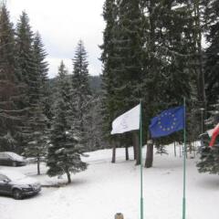 Отель Elina Hotel Болгария, Пампорово - отзывы, цены и фото номеров - забронировать отель Elina Hotel онлайн фото 7
