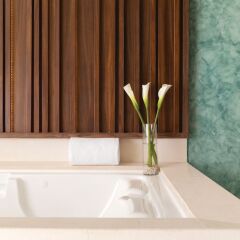Отель Hilton Playa Del Carmen Плая-дель-Кармен удобства в номере фото 2