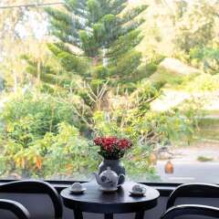 Отель Pearl Beach Homestay питание