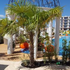 Отель Apartcomplex Harmony Suites 10 Болгария, Свети Влас - отзывы, цены и фото номеров - забронировать отель Apartcomplex Harmony Suites 10 онлайн фото 13