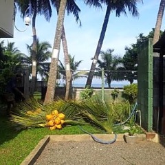 Отель Janishi Residencies фото 9