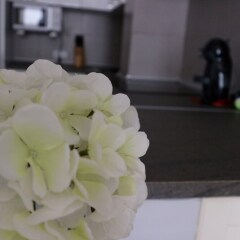 Апартаменты 107466 - Apartment in Fuengirola Фуэнхирола помещение для мероприятий