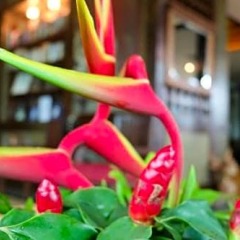 Отель Lanta Mermaid Boutique House Ланта фото 11
