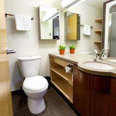 Отель Alma & Seasonal Residence Канада, Калгари - отзывы, цены и фото номеров - забронировать отель Alma & Seasonal Residence онлайн ванная
