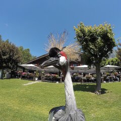 Chalet Hotel le Castel фото 2