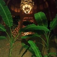 Отель Riad Hugo Марокко, Марракеш - отзывы, цены и фото номеров - забронировать отель Riad Hugo онлайн фото 8