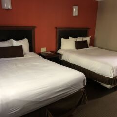 Отель Downtown Value Inn комната для гостей фото 4