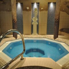Hotel Wawel бассейн