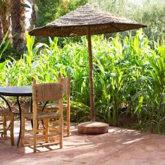 Отель Ecolodge - La Palmeraie Марокко, Уарзазат - отзывы, цены и фото номеров - забронировать отель Ecolodge - La Palmeraie онлайн фото 4