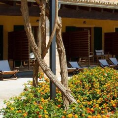 Отель Agroturismo Ses Arenes фото 8