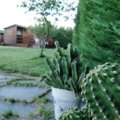 Отель La Facera - Cabañas de Madera фото 3