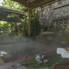 Отель Bolian Resorts & SPA Chongqing бассейн фото 2