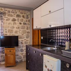 Отель Guest House Šljuka удобства в номере
