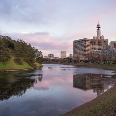 Отель APA HOTEL PRIDE <KOKKAIGIJIDOMAE> National Diet Bldg. Япония, Токио - отзывы, цены и фото номеров - забронировать отель APA HOTEL PRIDE <KOKKAIGIJIDOMAE> National Diet Bldg. онлайн приотельная территория