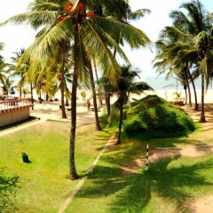 Отель Golden Star Beach Hotel Шри-Ланка, Негомбо - отзывы, цены и фото номеров - забронировать отель Golden Star Beach Hotel онлайн пляж фото 2