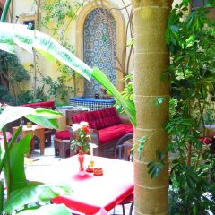 Отель Riad Marlinea Марокко, Схират - отзывы, цены и фото номеров - забронировать отель Riad Marlinea онлайн питание