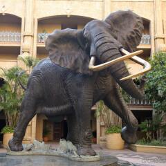 Отель The Palace of the Lost City at Sun City Resort фото 7