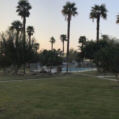 Отель 99 Palms Inn & Suites спортивное сооружение