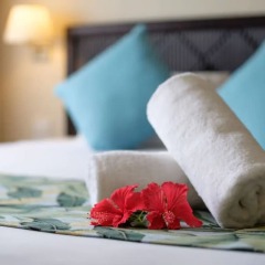 Отель Fiji Gateway Вити-Леву фото 11