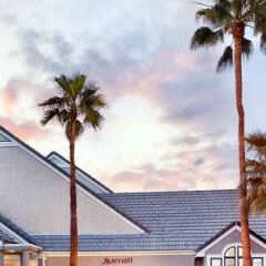 Отель Residence Inn by Marriott Las Vegas Convention Center США, Лас-Вегас - 1 отзыв об отеле, цены и фото номеров - забронировать отель Residence Inn by Marriott Las Vegas Convention Center онлайн фото 11