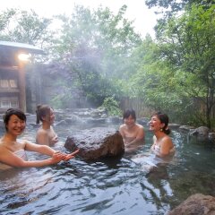 Отель Kurokawa Mori no Cottage Япония, Минамиогуни - отзывы, цены и фото номеров - забронировать отель Kurokawa Mori no Cottage онлайн бассейн фото 2