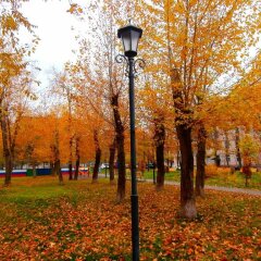 Гостиница Руставели в Москве отзывы, цены и фото номеров - забронировать гостиницу Руставели онлайн Москва спортивное сооружение