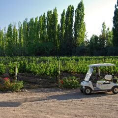 Отель Algodon Wine Estates and Champions Club Аргентина, Сан-Рафаэль - отзывы, цены и фото номеров - забронировать отель Algodon Wine Estates and Champions Club онлайн городской автобус