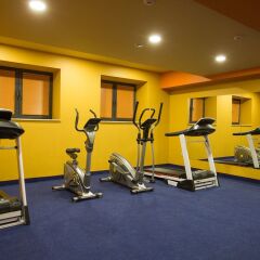 Отель Nairi SPA Resorts фитнесс-зал фото 2
