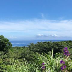 Отель Cottage Orange House Yakushima Якусима пляж фото 2