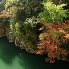 Tsuetate Kanko Hotel Hizenya Минамиогуни приотельная территория фото 2