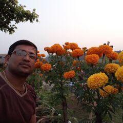 Отель Sauraha Boutique Resort Непал, Саураха - отзывы, цены и фото номеров - забронировать отель Sauraha Boutique Resort онлайн питание фото 2