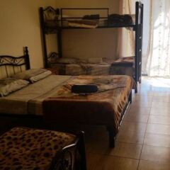 New Petra Hostel Израиль, Иерусалим - 2 отзыва об отеле, цены и фото номеров - забронировать отель New Petra Hostel онлайн комната для гостей фото 2