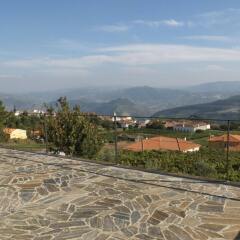 Отель Quinta Manhas Douro фото 4