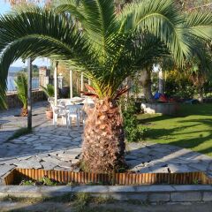 Отель Regos Resort Hotel Греция, Ситония - отзывы, цены и фото номеров - забронировать отель Regos Resort Hotel онлайн фото 8