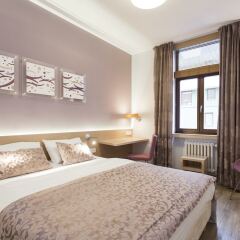 Hotel Carol комната для гостей фото 7
