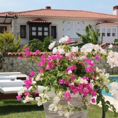 Windmill Alacati Boutique Hotel Турция, Чешме - отзывы, цены и фото номеров - забронировать отель Windmill Alacati Boutique Hotel онлайн фото 6