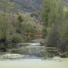 Отель A. Montesinho Turismo пляж