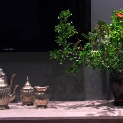 Hotel Hippocampus фото 4